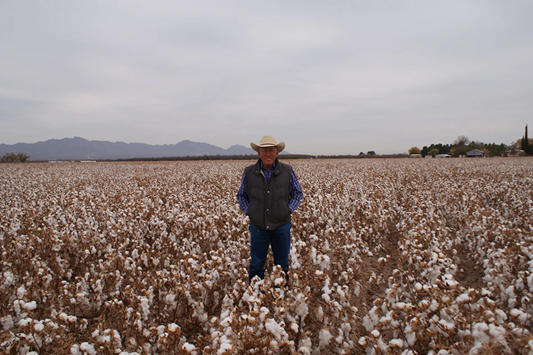 アルティメイトピマコットン100%使用!天衣無縫よりホールガーメントのウエア3種が新発売