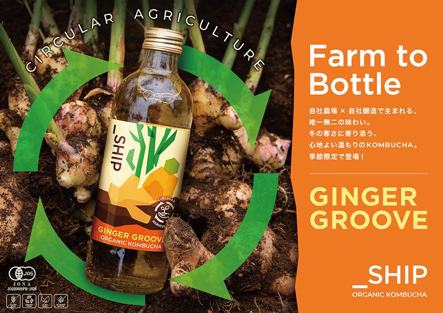 _SHIP KOMBUCHA 冬季限定フレーバー「GINGER GROOVE(ジンジャー グルーヴ)」発売