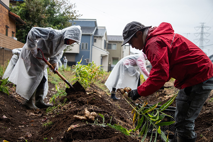 _SHIP KOMBUCHA 冬季限定フレーバー「GINGER GROOVE(ジンジャー グルーヴ)」発売