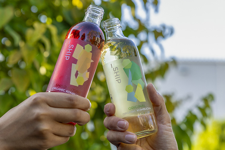 _SHIP KOMBUCHA 冬季限定フレーバー「GINGER GROOVE(ジンジャー グルーヴ)」発売